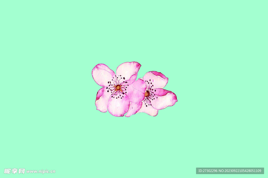 桃花