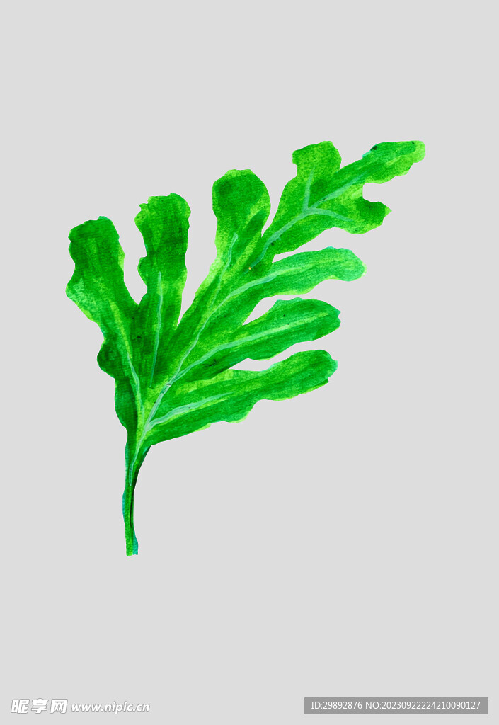 水果蔬菜手绘