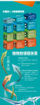 语文导学图展架