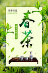 春茶
