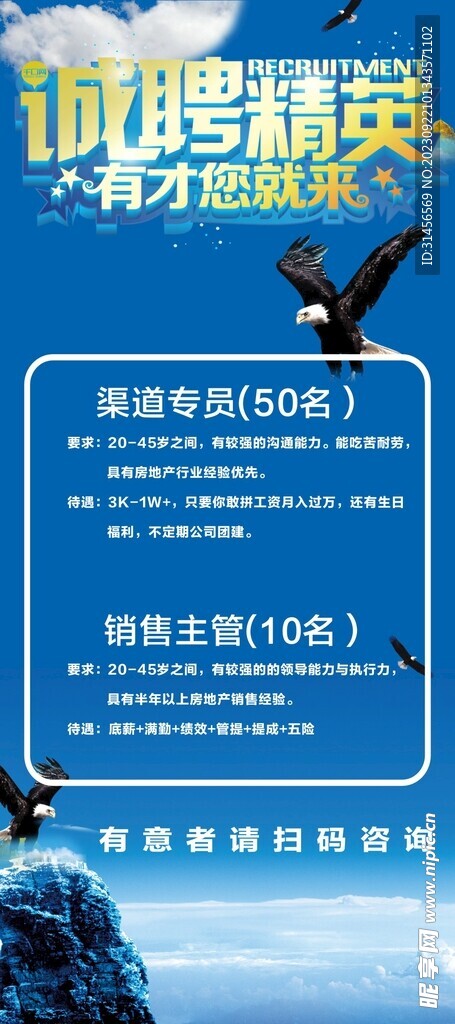 诚聘精英