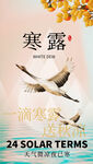寒露海报