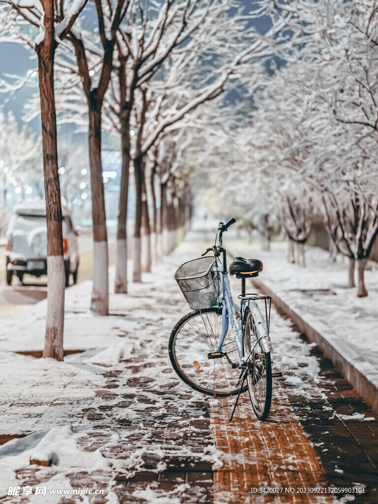 雪景