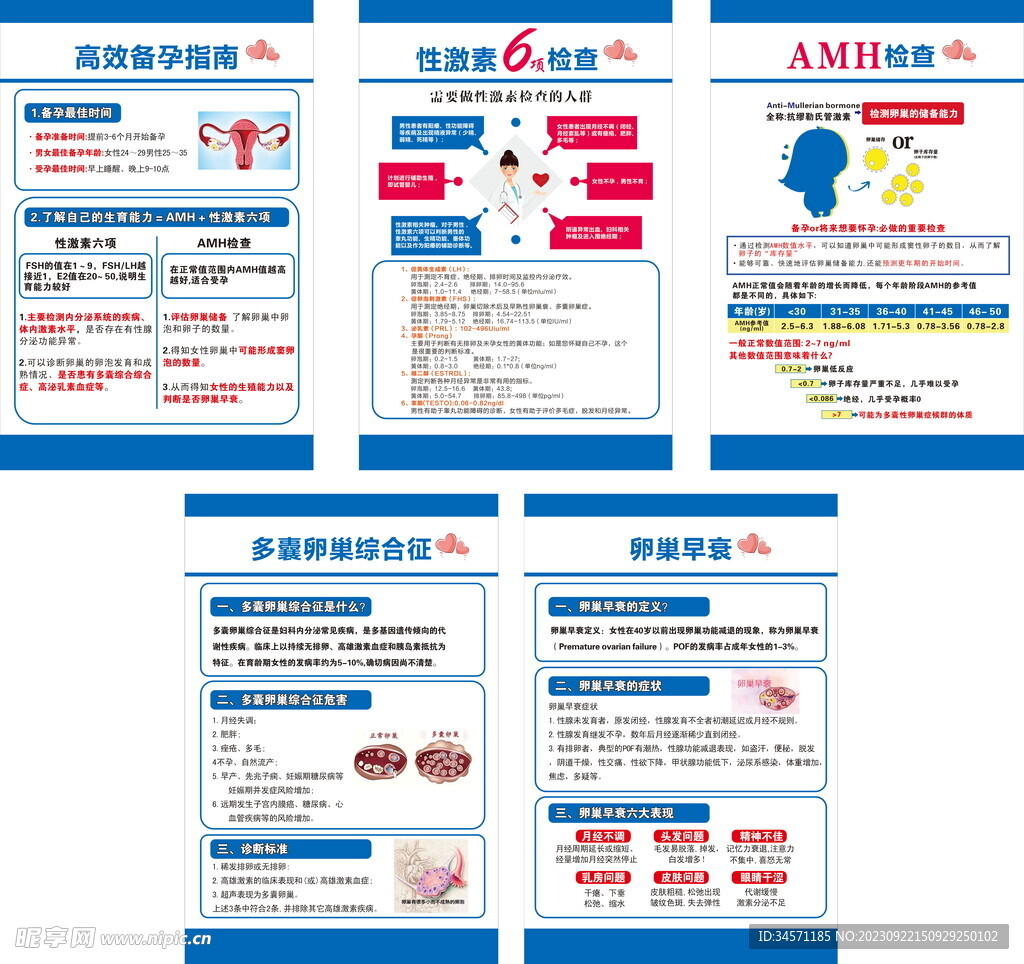 高效备孕指南 性激素六项检查 