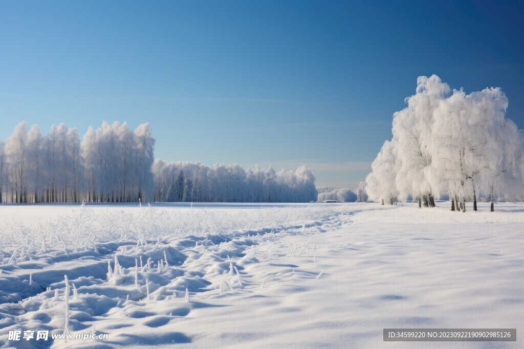 雪景