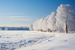 雪景