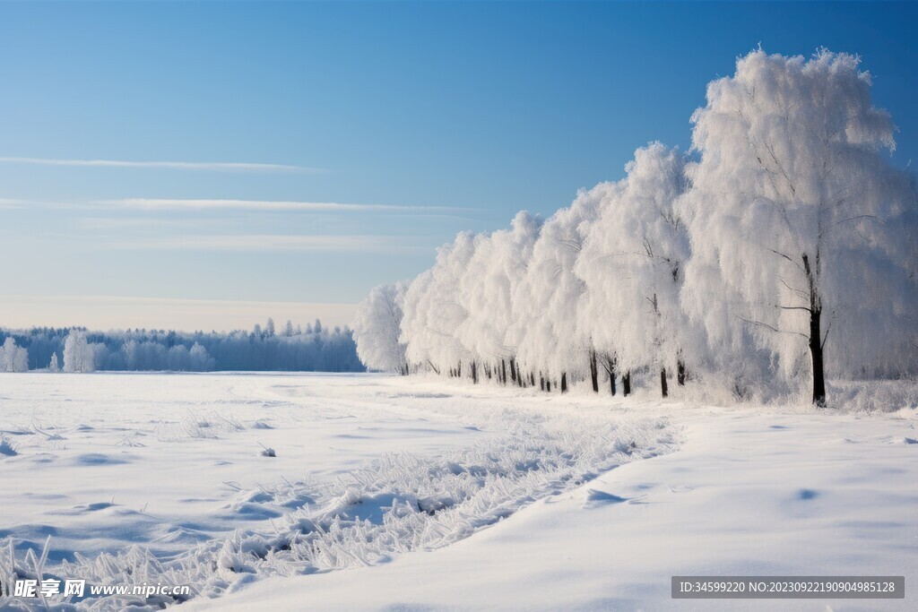 雪景