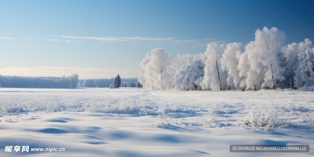 雪景