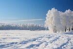 雪景