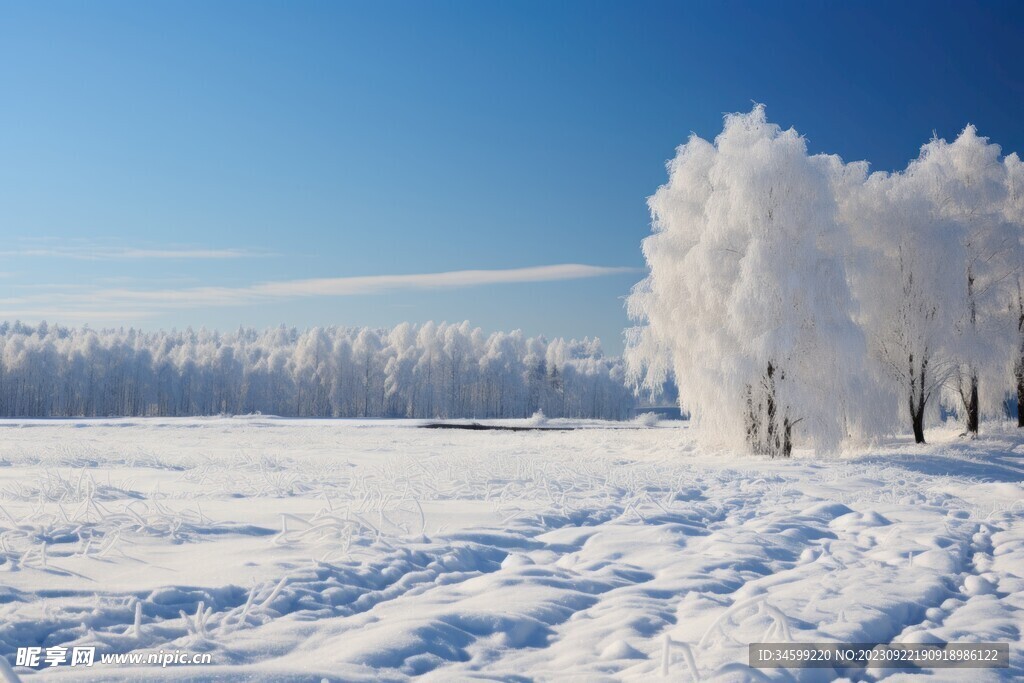 雪景