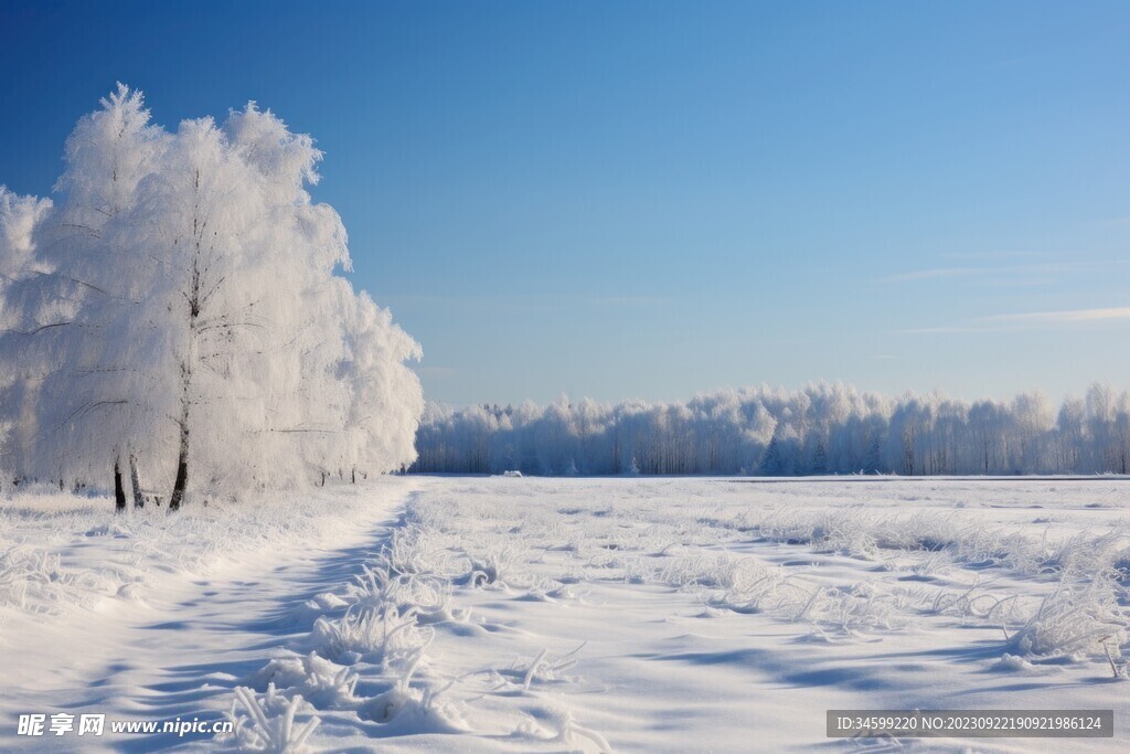 雪景