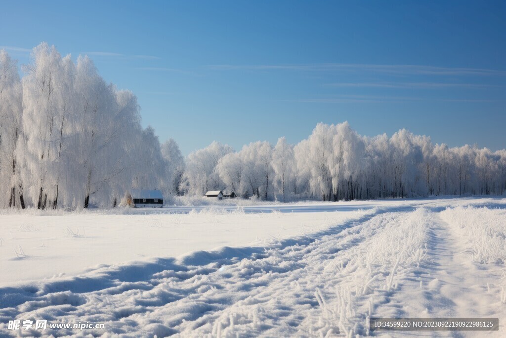 雪景