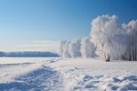 雪景