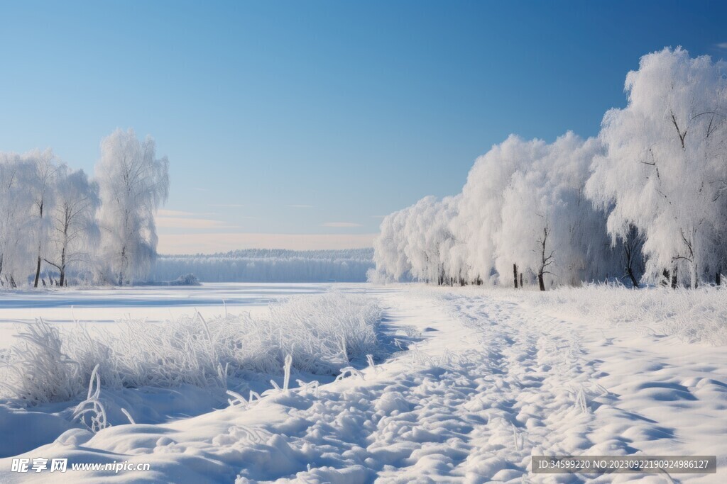 雪景