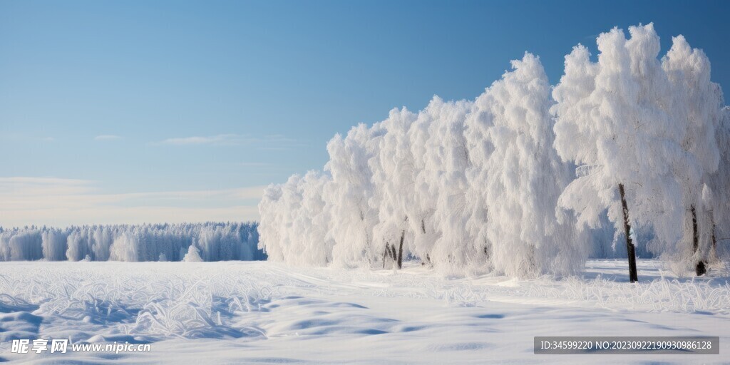 雪景