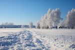 雪景