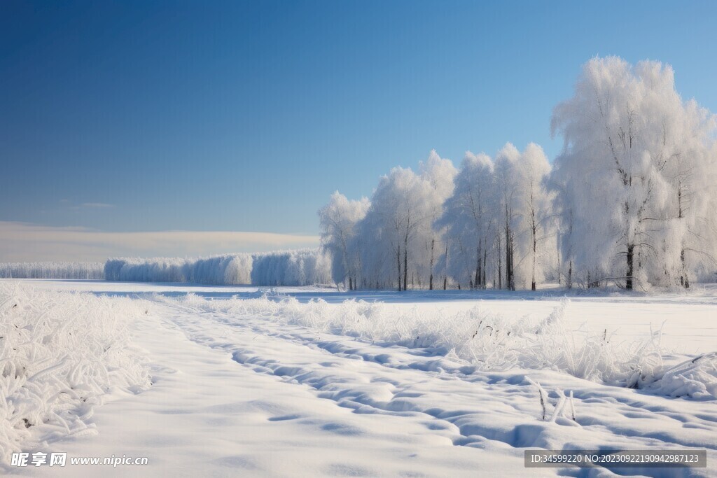 雪景