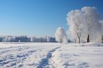 雪景