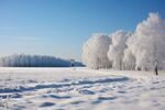 雪景