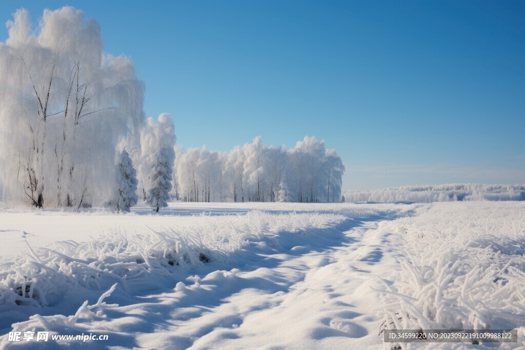 雪景