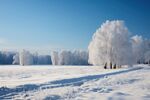 雪景