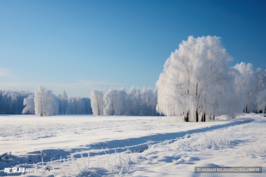 雪景