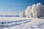 雪景