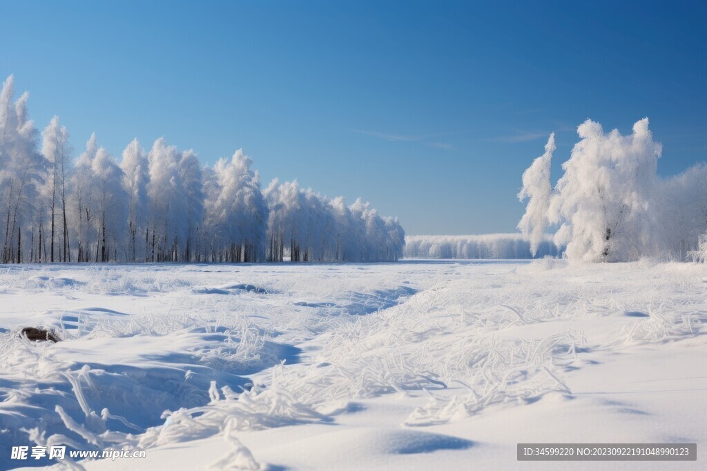 雪景