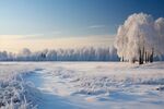 雪景