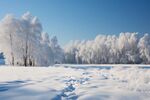 雪景