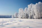 雪景