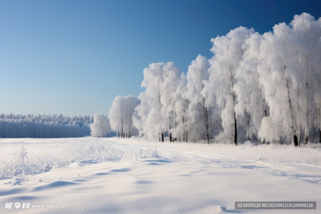 雪景