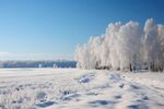 雪景