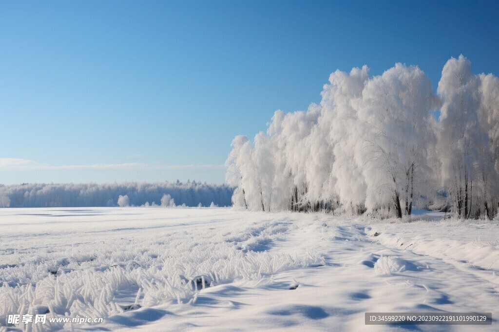 雪景