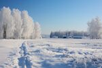 雪景