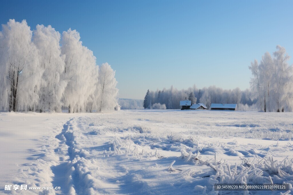 雪景