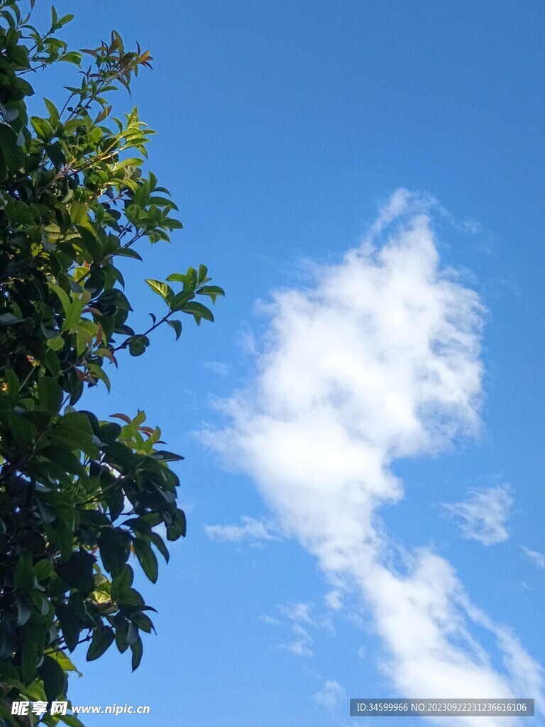 天空图片