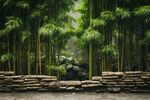 竹子竹墙旁的石头人行道