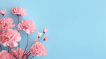 教师节节日花朵背景