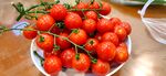 水果 西红柿 小番茄 圣女果