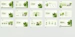 小清新夏日绿植工作总结通用模板