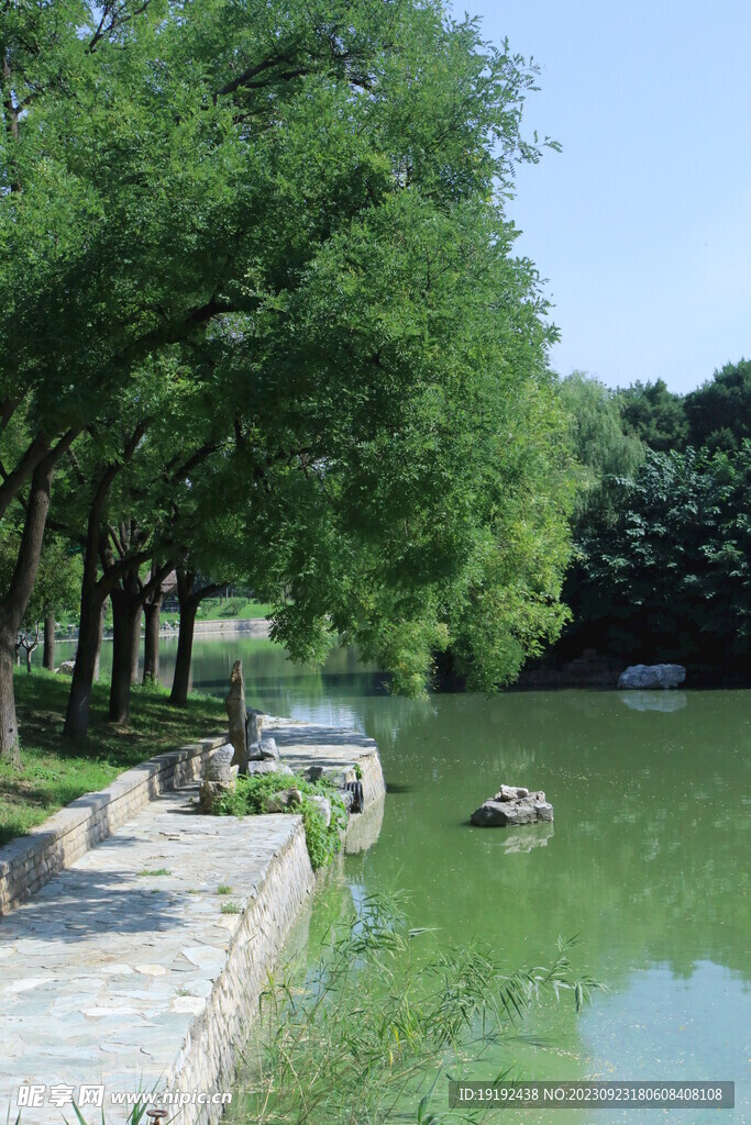 公园风景