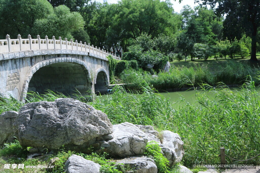 公园风景