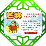 24节气之芒种