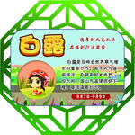 24节气之白露 