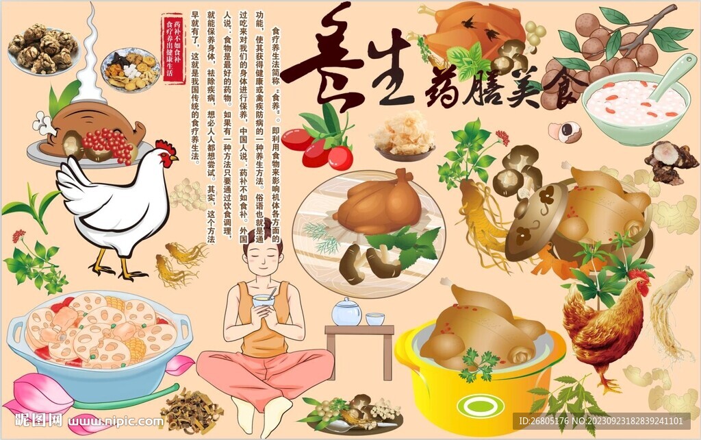 养生药膳美食