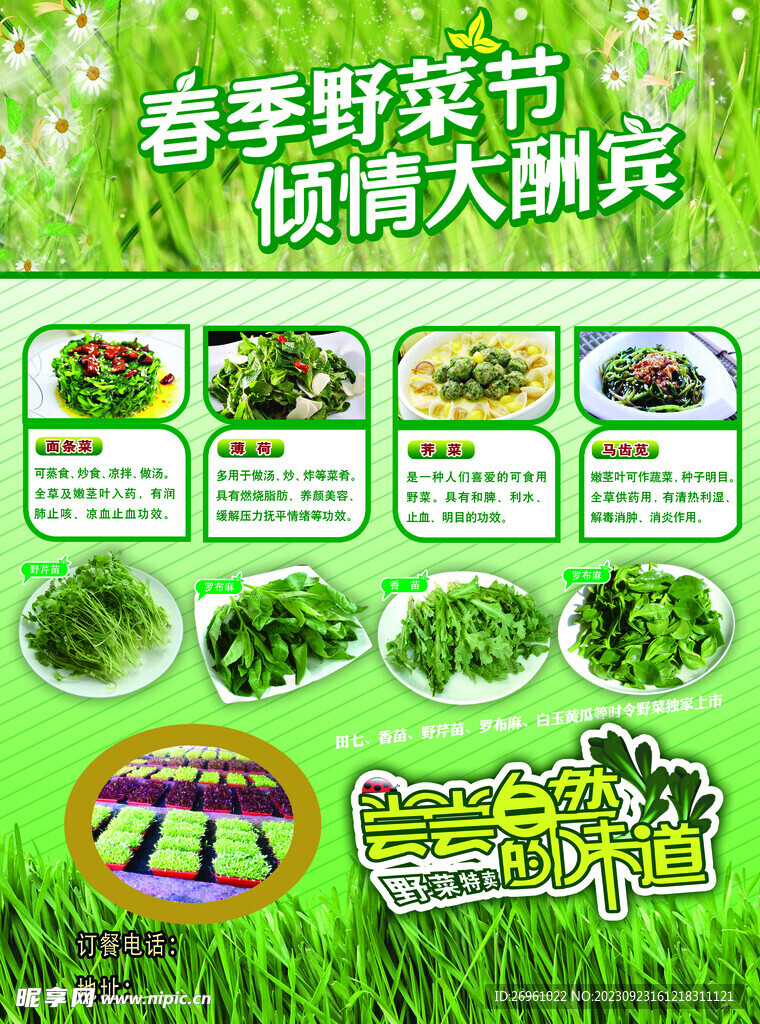 商务酒店 野菜美食节 