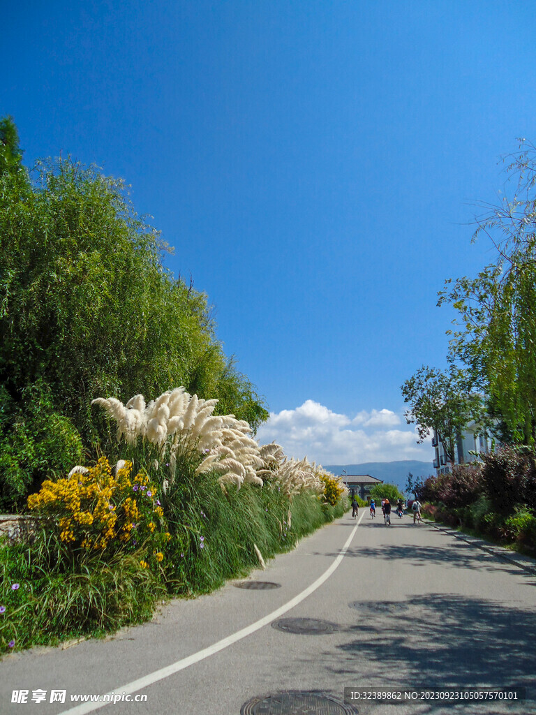 沿途道路