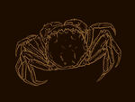 大闸蟹线描素描手绘完整螃蟹设计