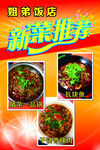 新菜推荐